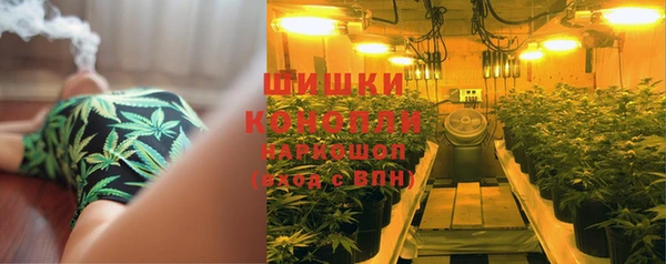 ешки Пестово
