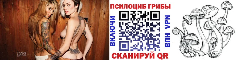 продажа наркотиков  Старая Русса  Псилоцибиновые грибы Magic Shrooms 